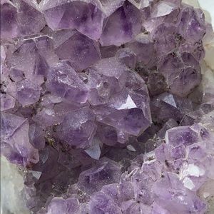 Meet your Posher, Alice